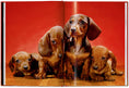 Translation missing: nb.products.product.gallery_thumbnail_alt
