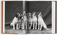 Translation missing: nb.products.product.gallery_thumbnail_alt