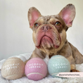 Translation missing: nb.products.product.gallery_thumbnail_alt