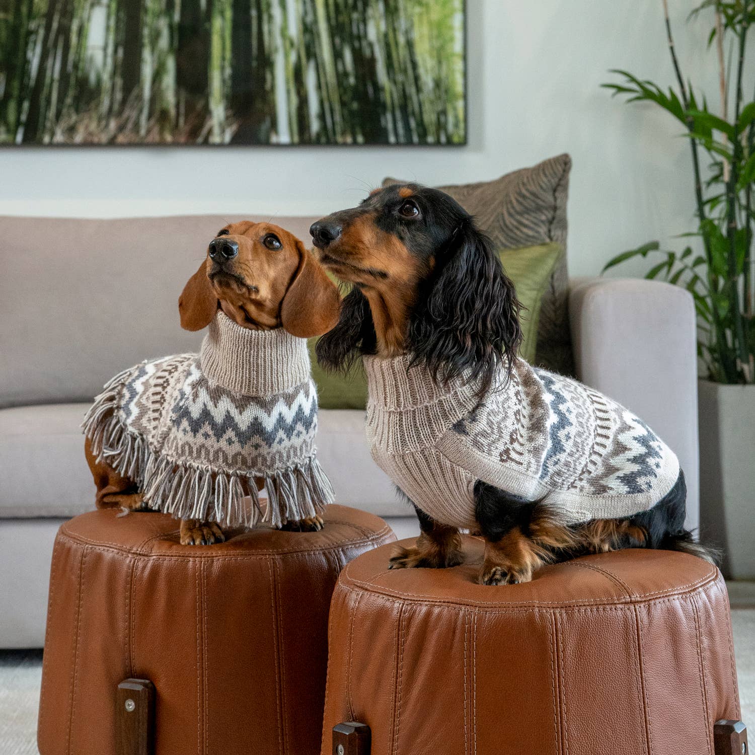 Gi din firbeinte bestevenn komfort og stil med Barklane Boutique!