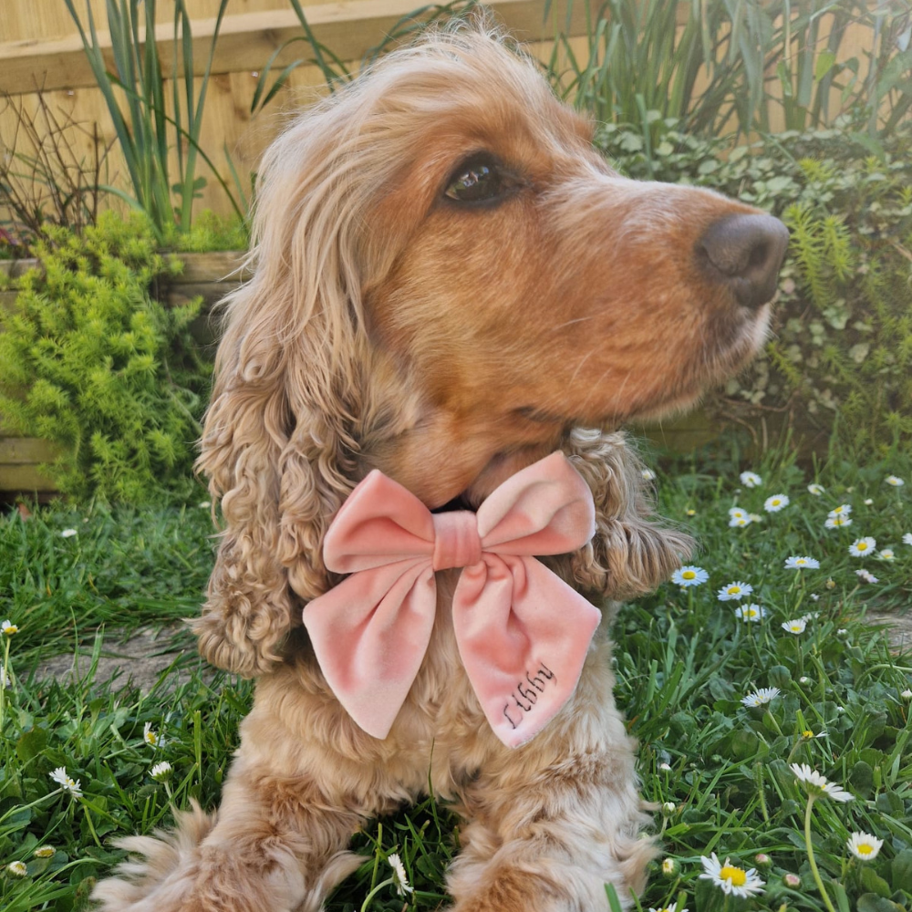 Luxe Velvet Sailor Bow Tie - Baby Pink