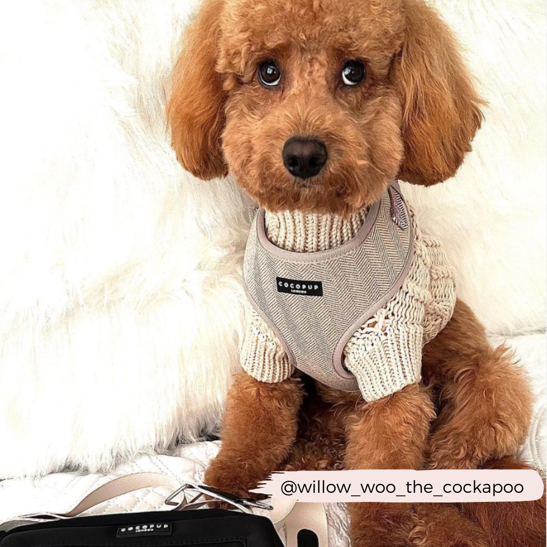 Cocopup London - Brown Tweed Adjustable Neck Harness