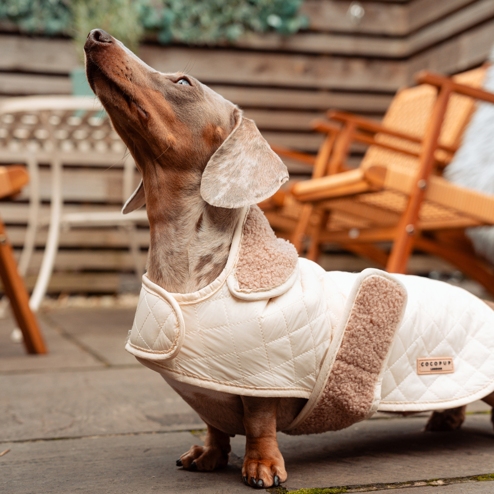 Cocopup London - LUXE Quilted Dog Coat - Creamy Chai