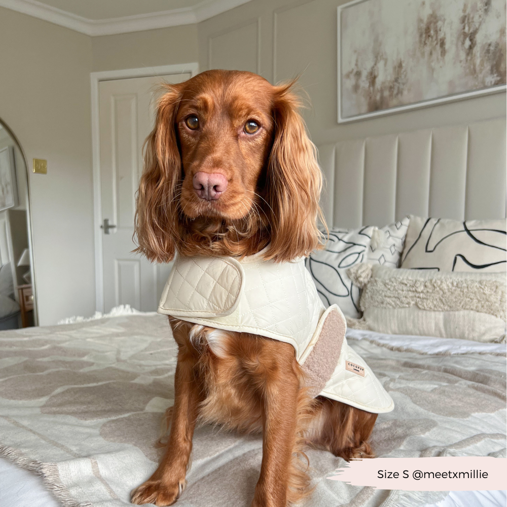 Cocopup London - LUXE Quilted Dog Coat - Creamy Chai