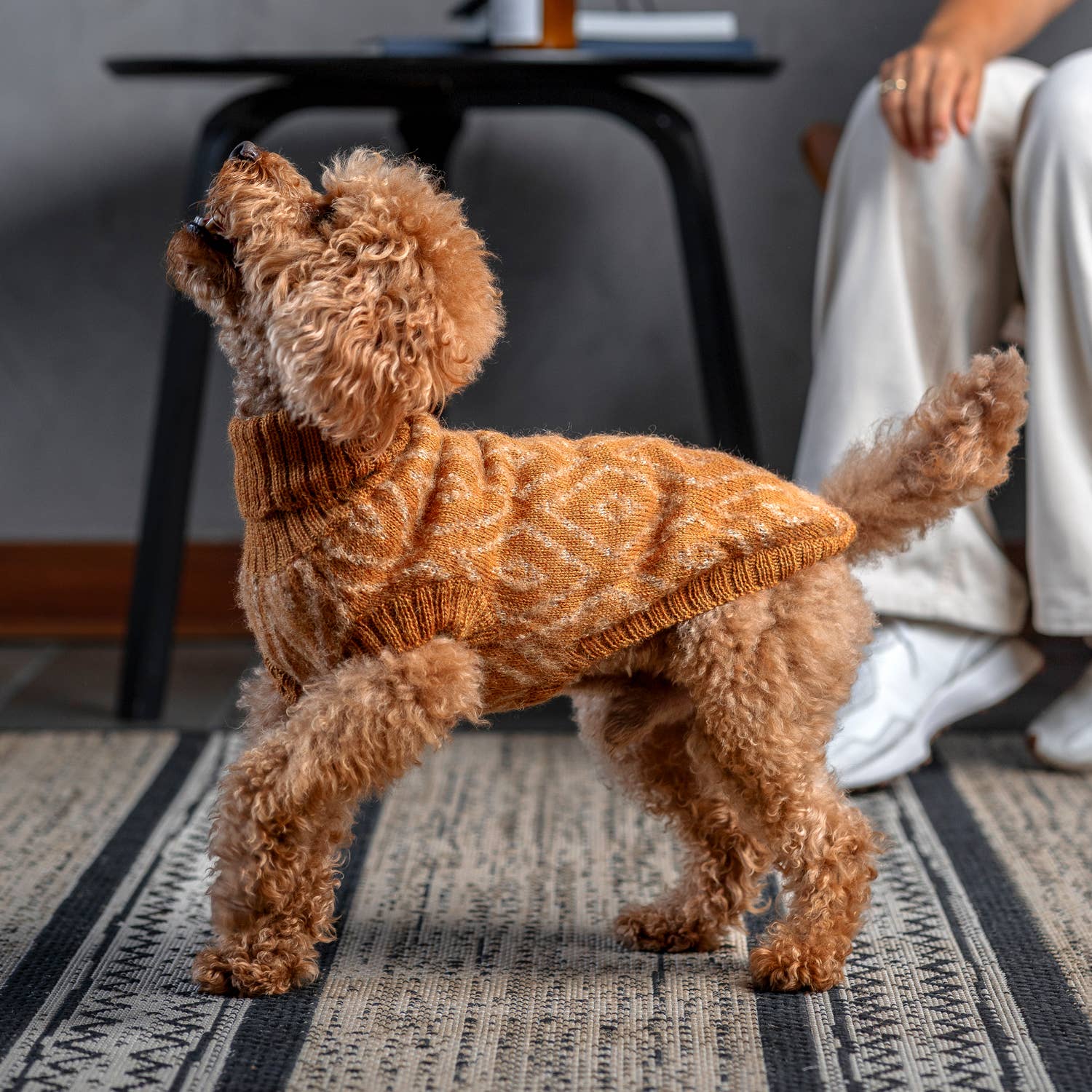 Golden Ochre Alpaca Dog Sweater