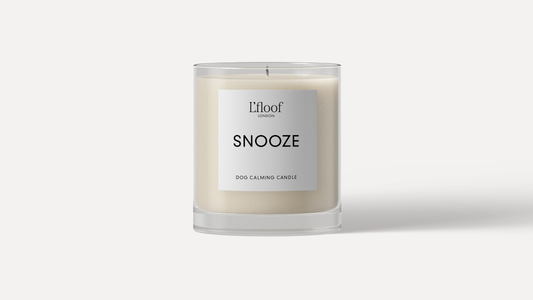 Dog Calming Candle - SNOOZE