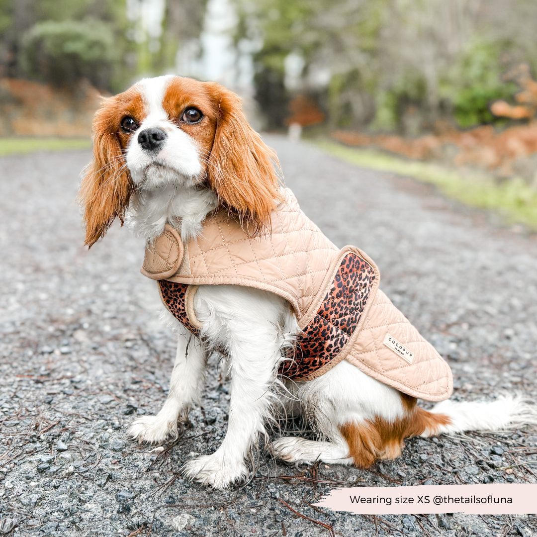 LUXE Quilted Hundejakke