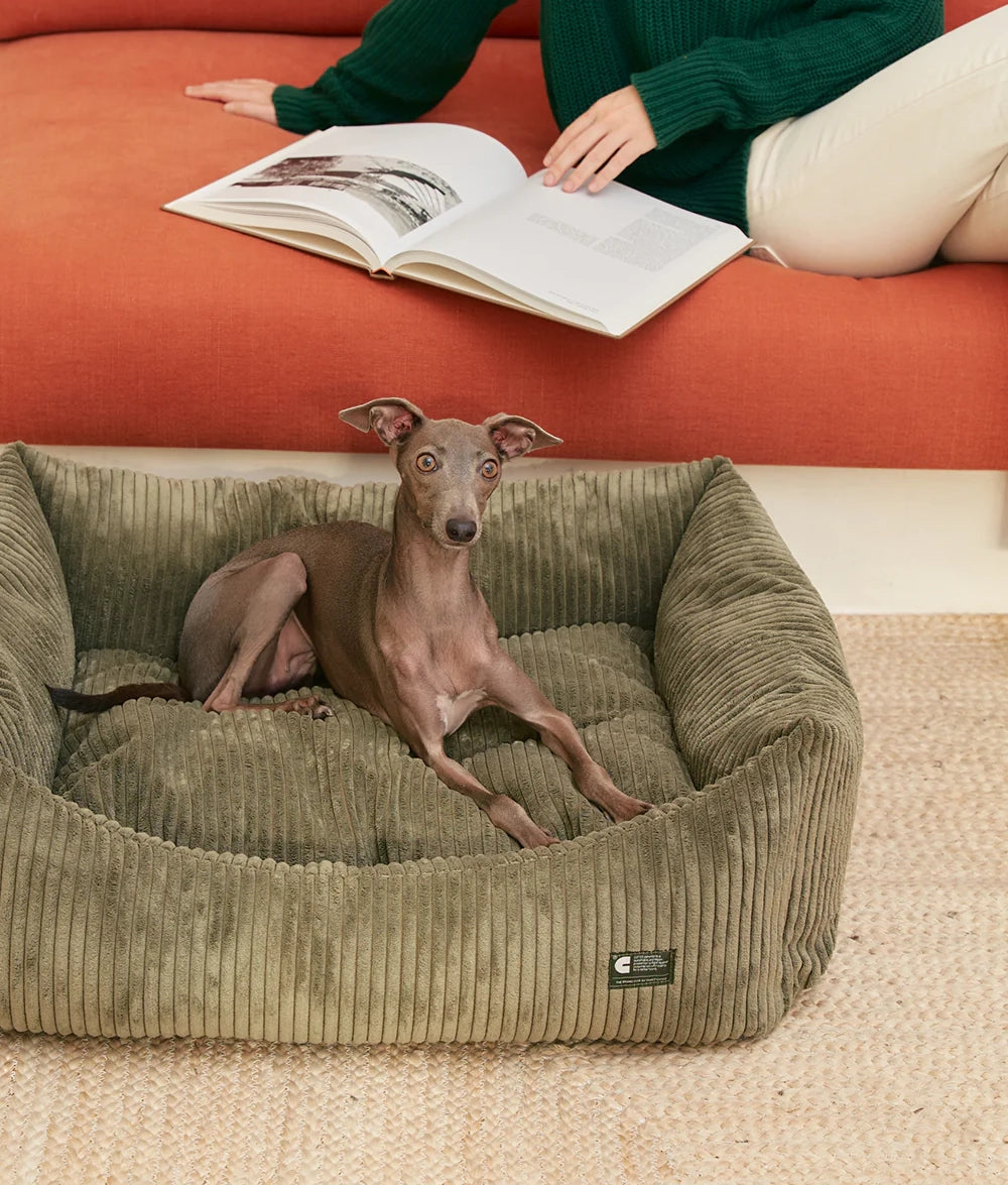 Green Corduroy Dog Bed - Snozy