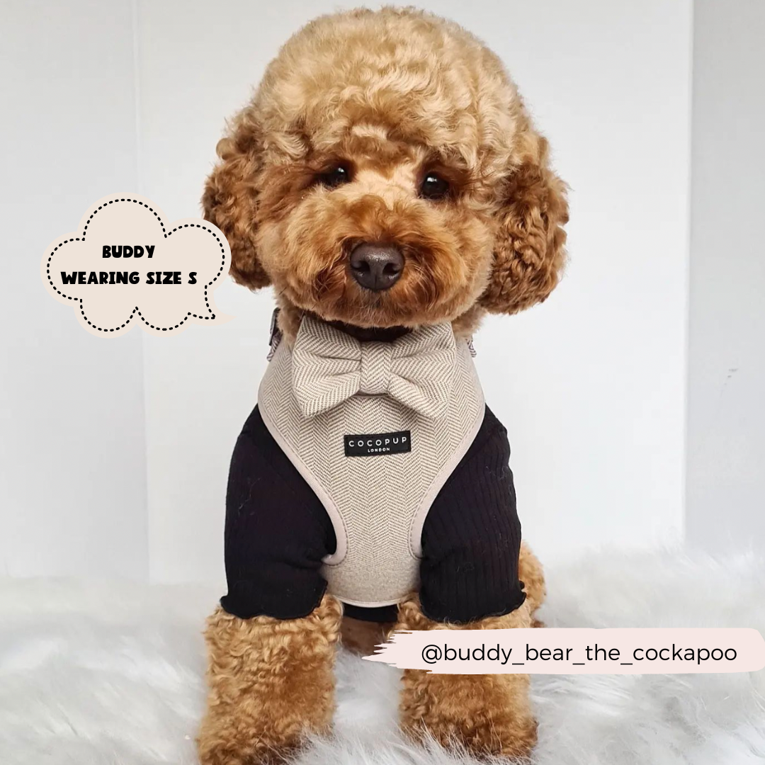 Cocopup London - Brown Tweed Adjustable Neck Harness