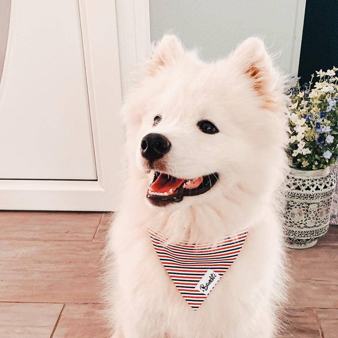 Tricolor Bandana Halsbånd