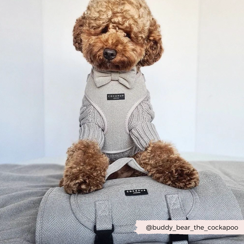 Cocopup London - Brown Tweed Adjustable Neck Harness