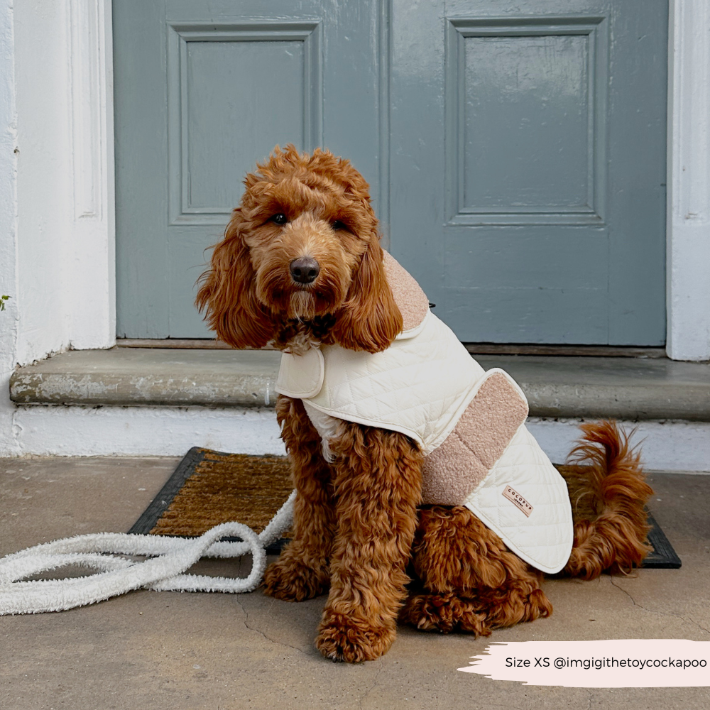 Cocopup London - LUXE Quilted Dog Coat - Creamy Chai
