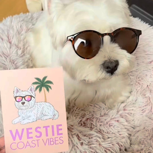 LOLLYPOPARTSTUDIO - Carte Westie « Westie Coast Vibes »