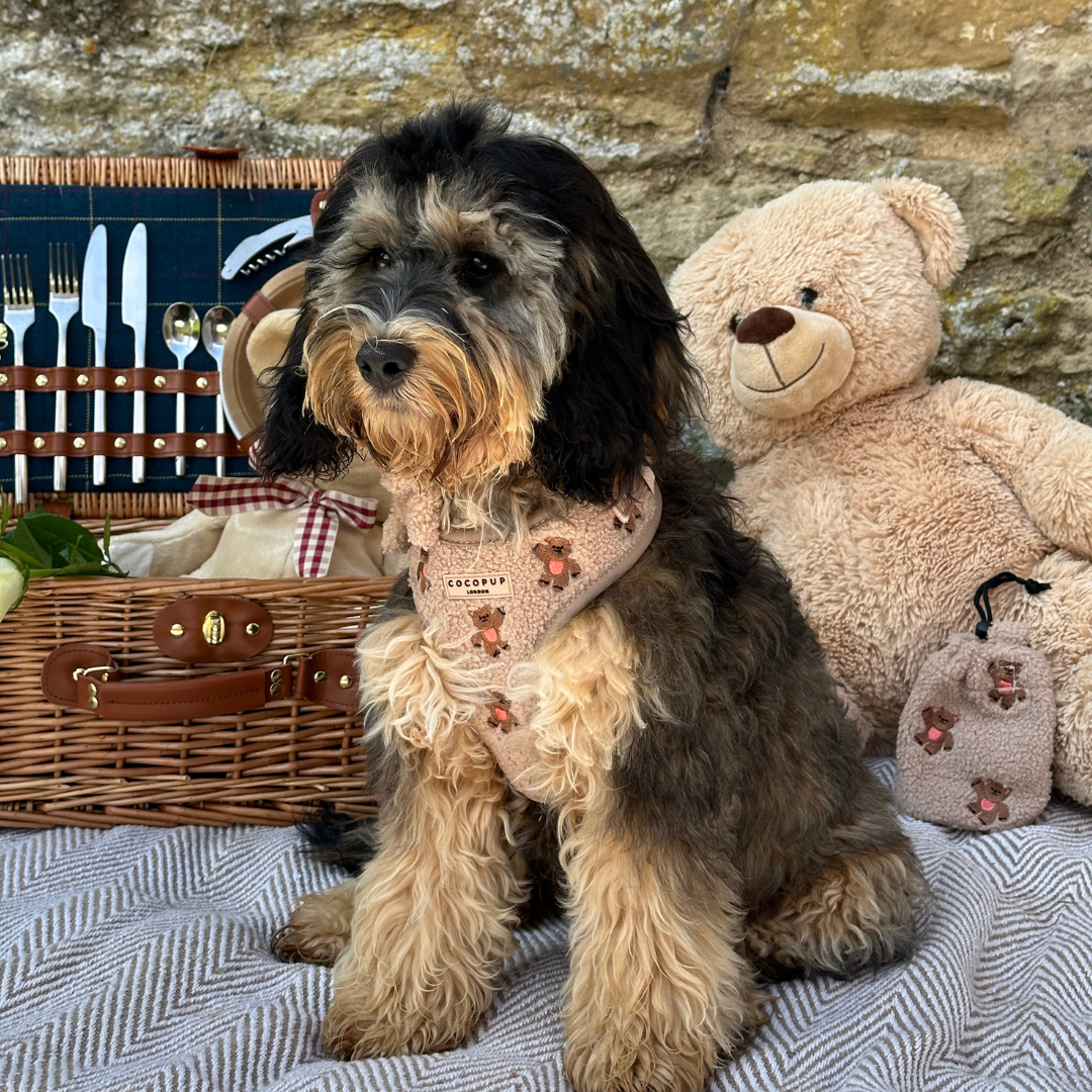 Cocopup London - Theo Embroidered Teddy Adjustable Neck Harness