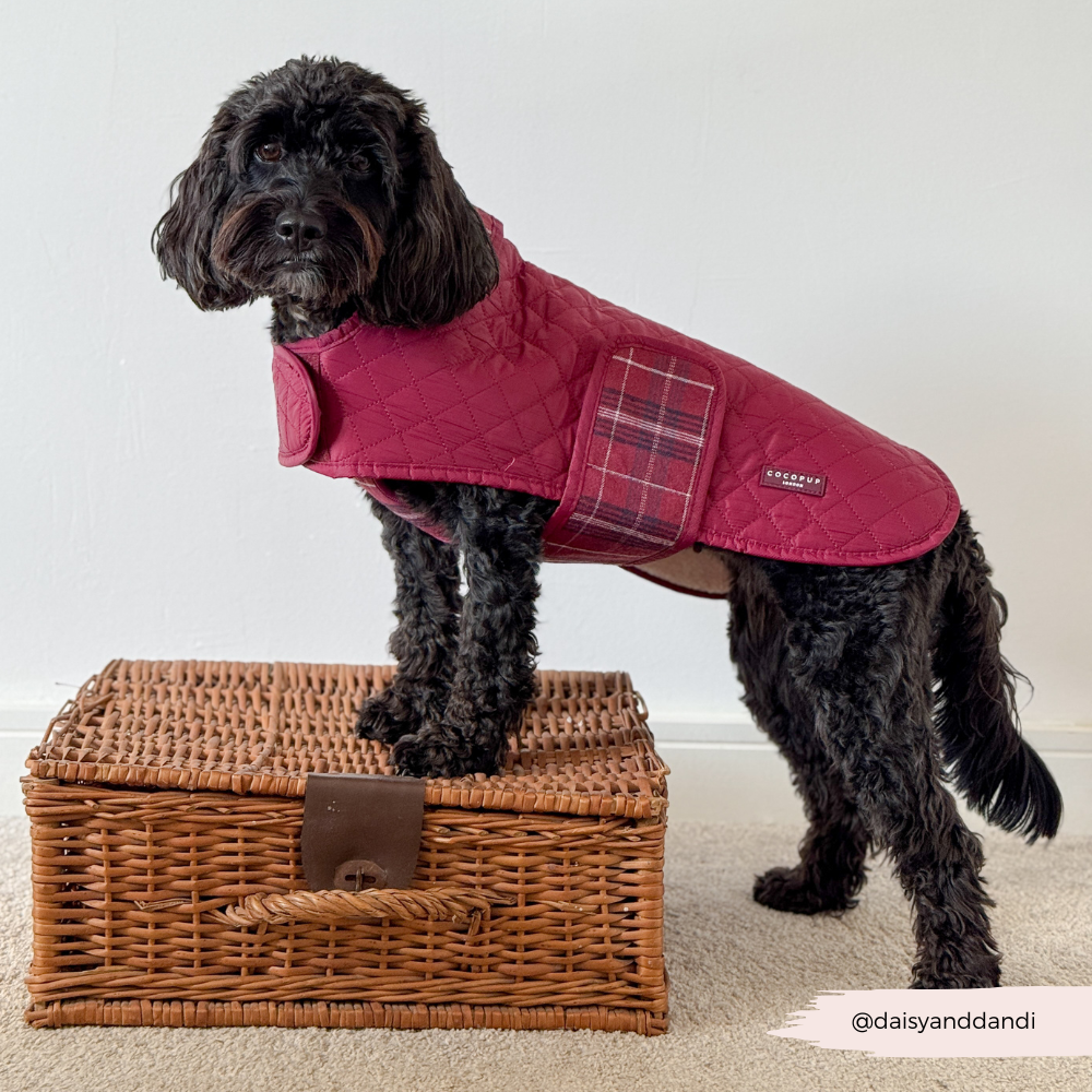 Cocopup London - LUXE Quilted Dog Coat - Mulberry Plaid