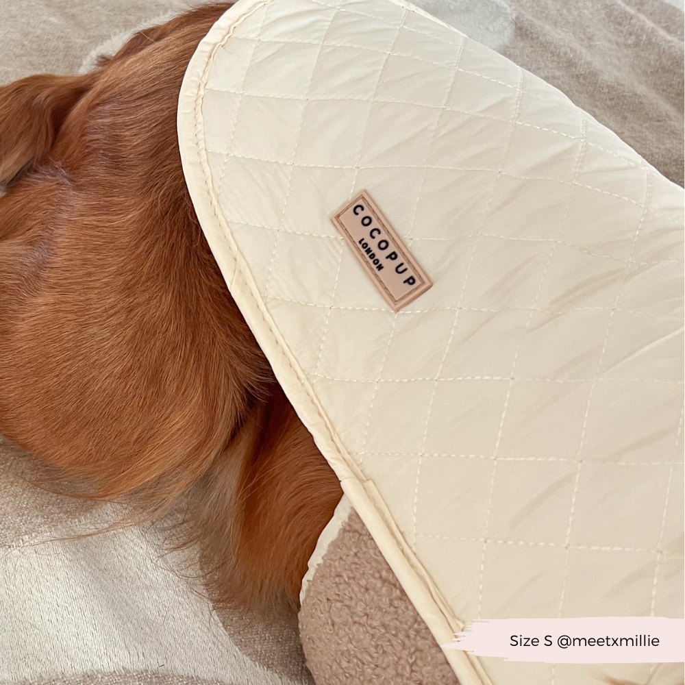 Cocopup London - LUXE Quilted Dog Coat - Creamy Chai