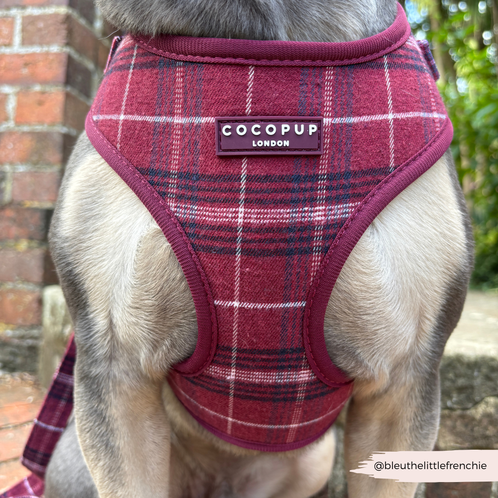 Cocopup London - Mulberry Plaid Adjustable Neck HARNESS