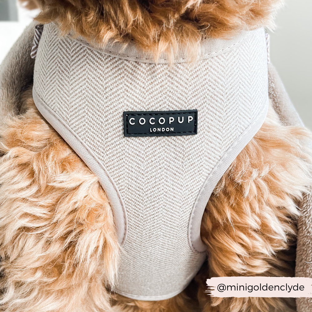 Cocopup London - Brown Tweed Adjustable Neck Harness