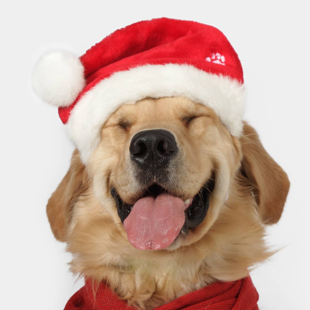 Christmas Dog Treats – Peanut Butter & Carob