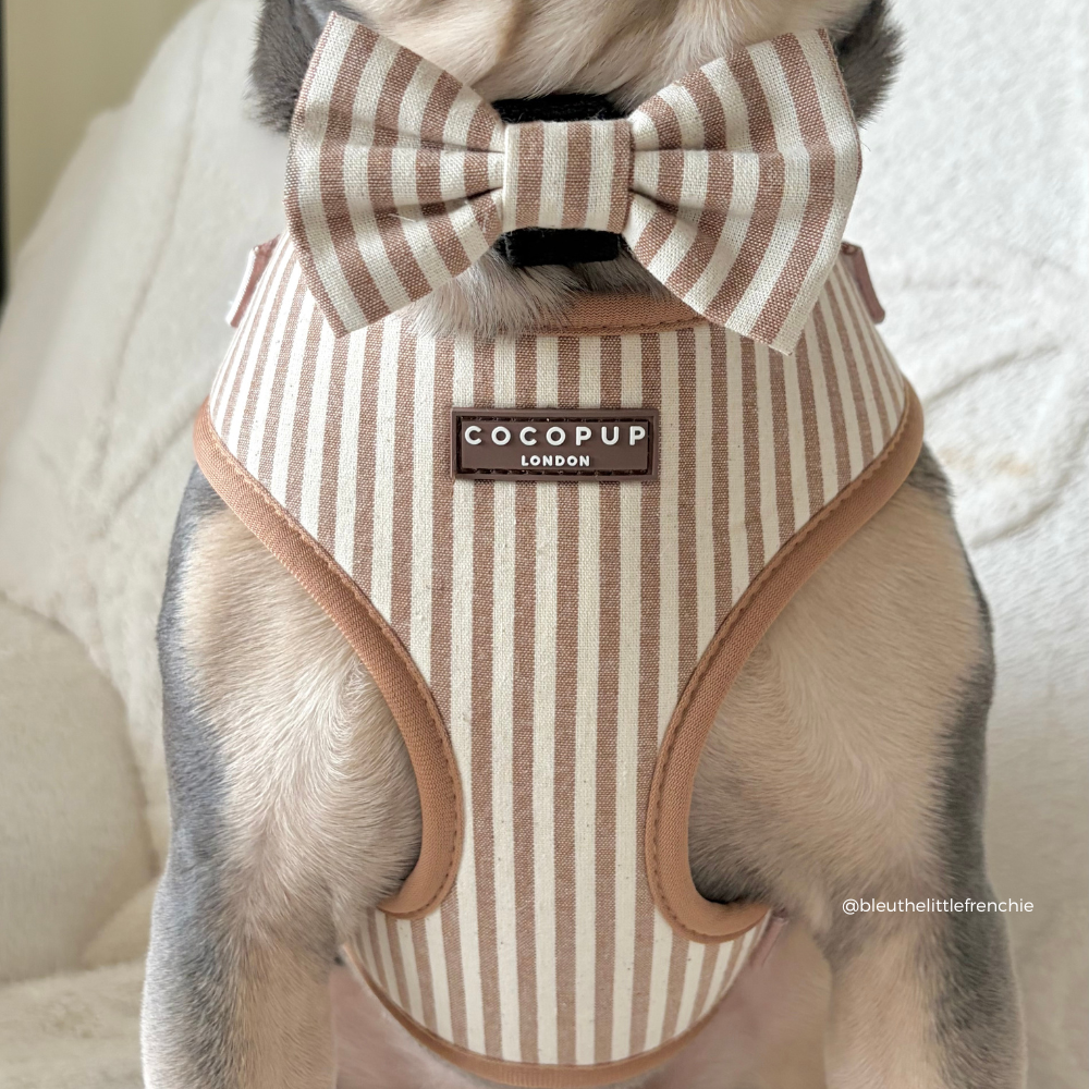 London Linen Stripes Hundesele