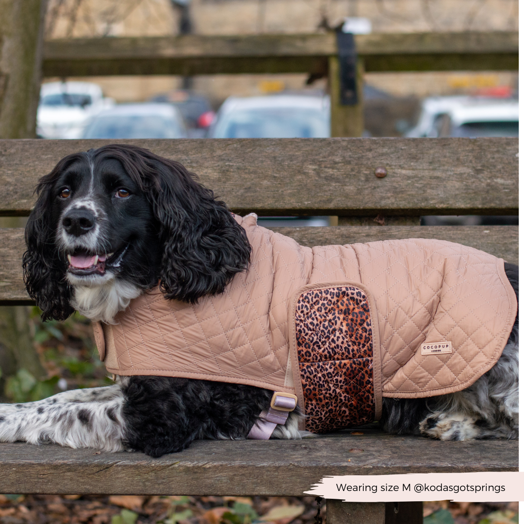 LUXE Quilted Hundejakke