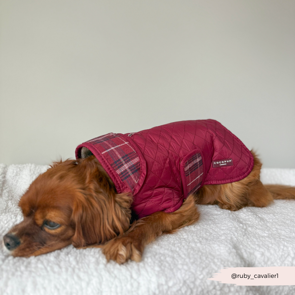 Cocopup London - LUXE Quilted Dog Coat - Mulberry Plaid