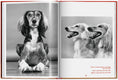 Translation missing: nb.products.product.gallery_thumbnail_alt
