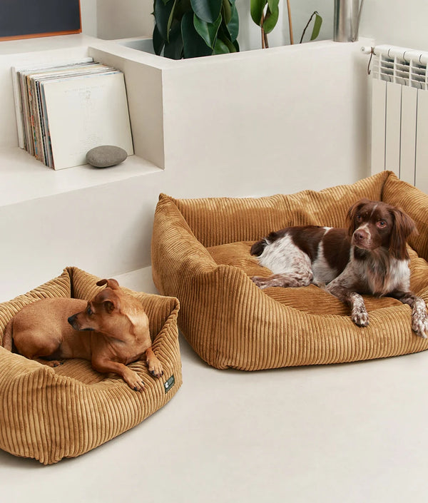 Hundeseng i kord - Mustard