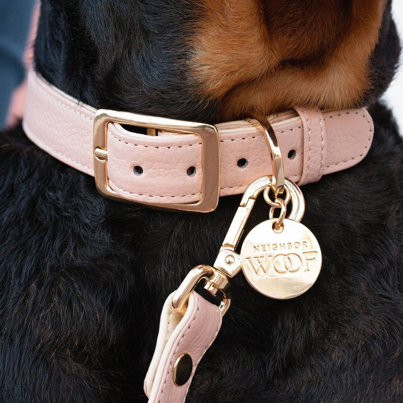 Blush Dog Collar