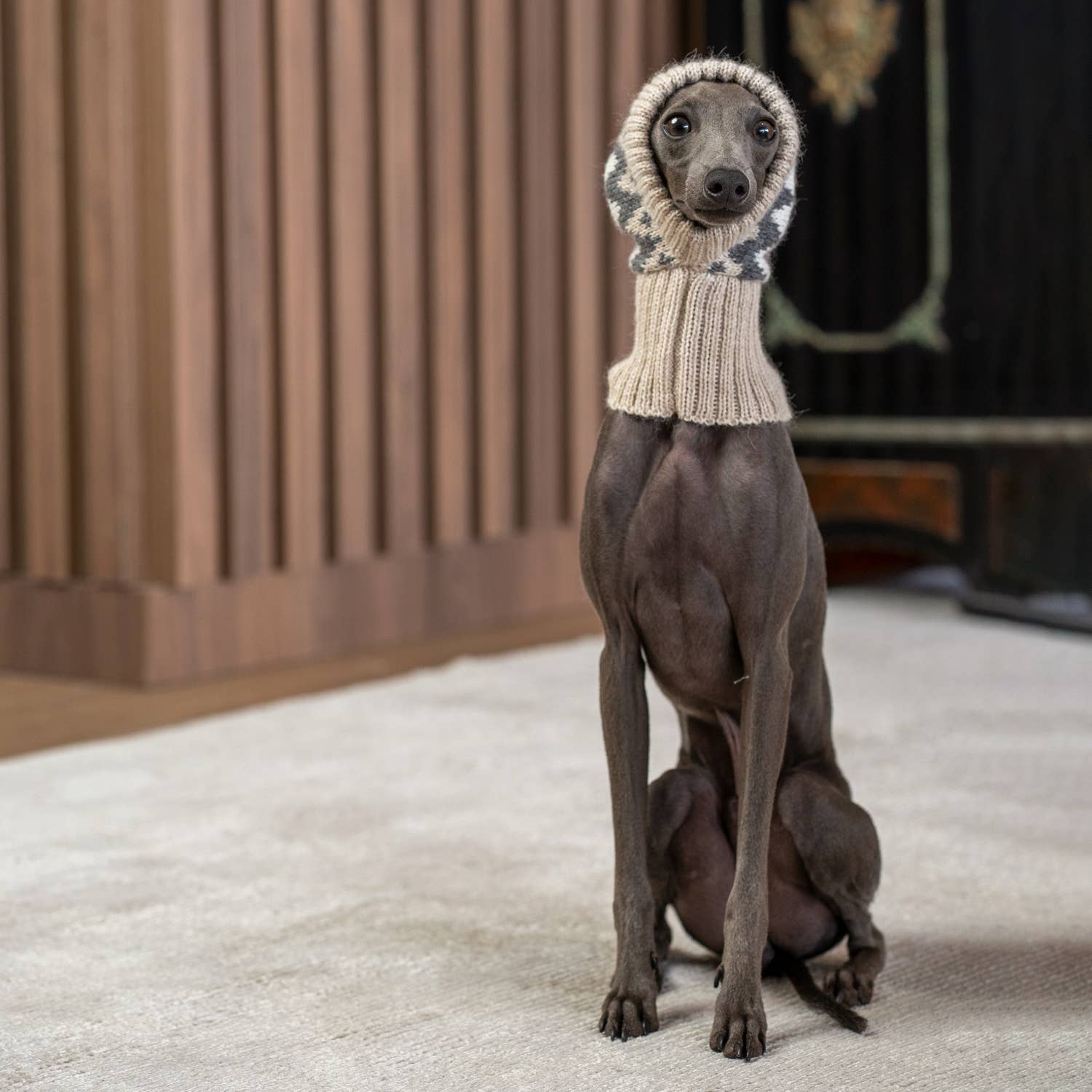 Woolly Winter Alpaca Dog Hat