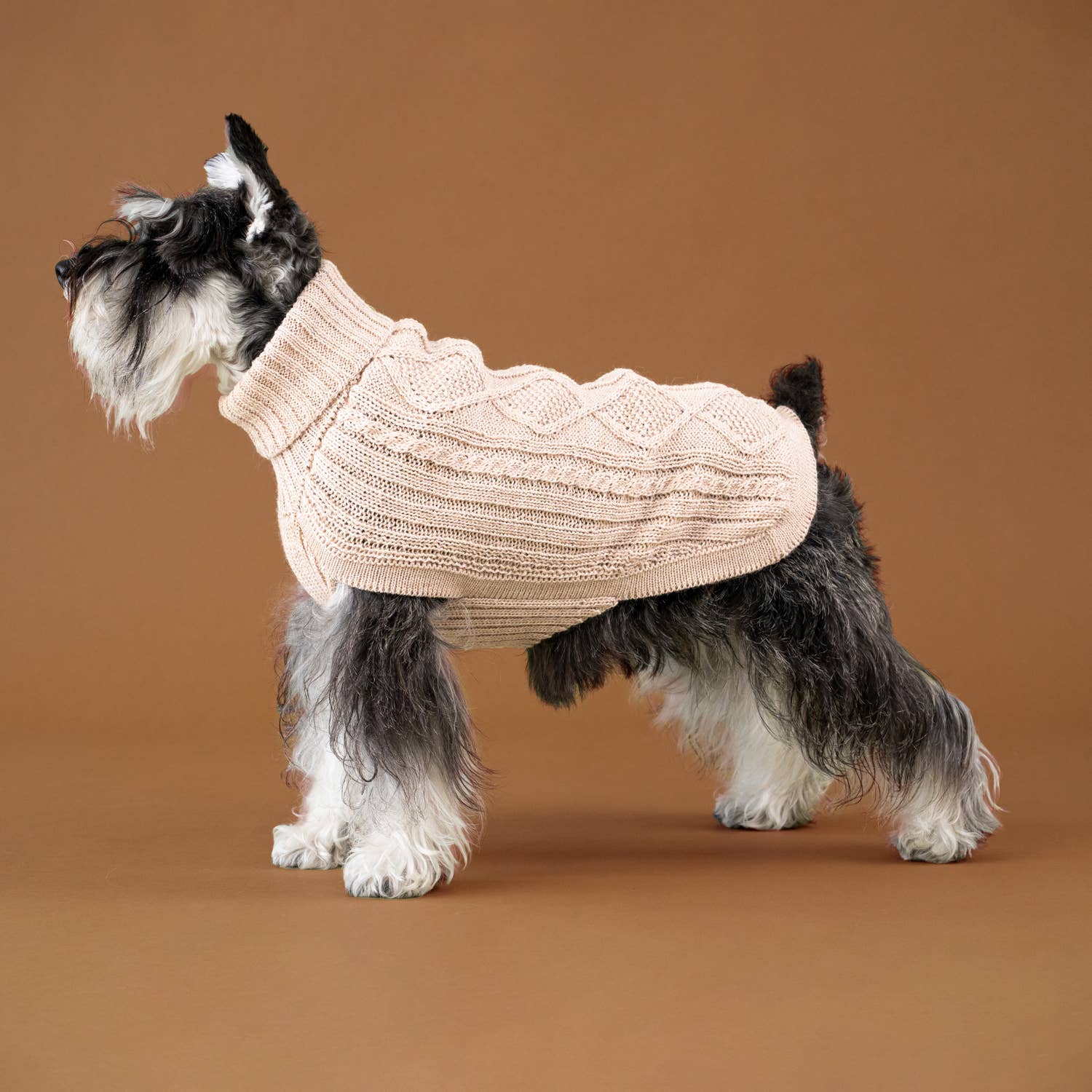 Ivory Aran Alpaca Dog Sweater