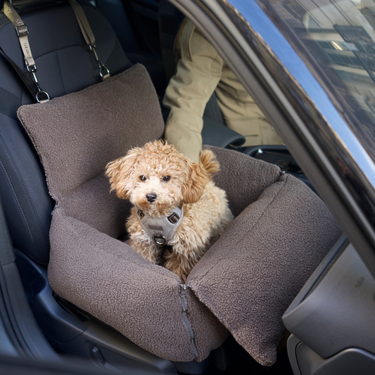 Clara 3-in-1 Car Seat | Teddy Limited Edition
