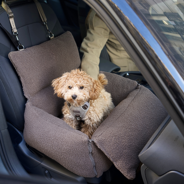 Clara 3-in-1 Car Seat | Teddy Limited Edition
