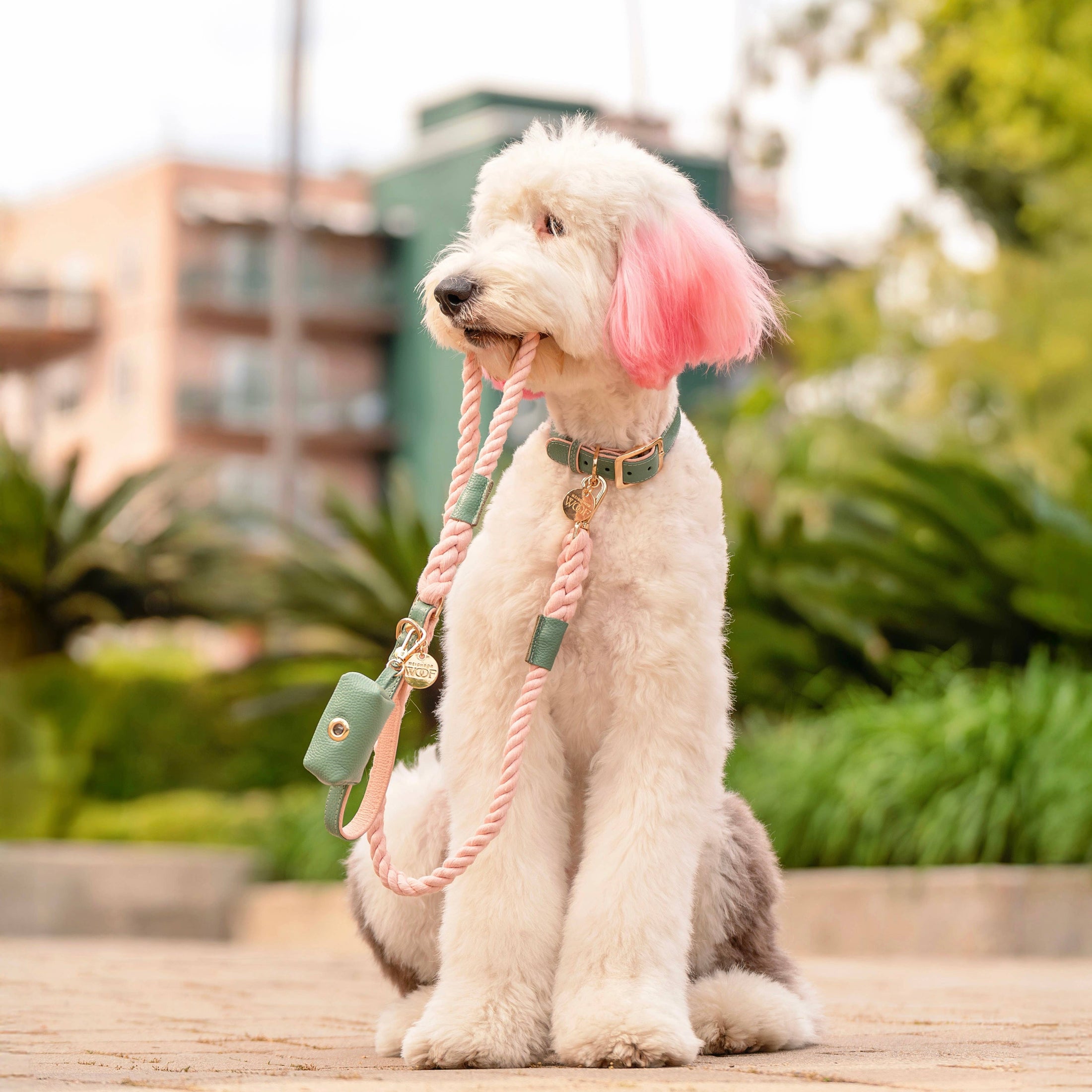 Beverly Hills Poop Case