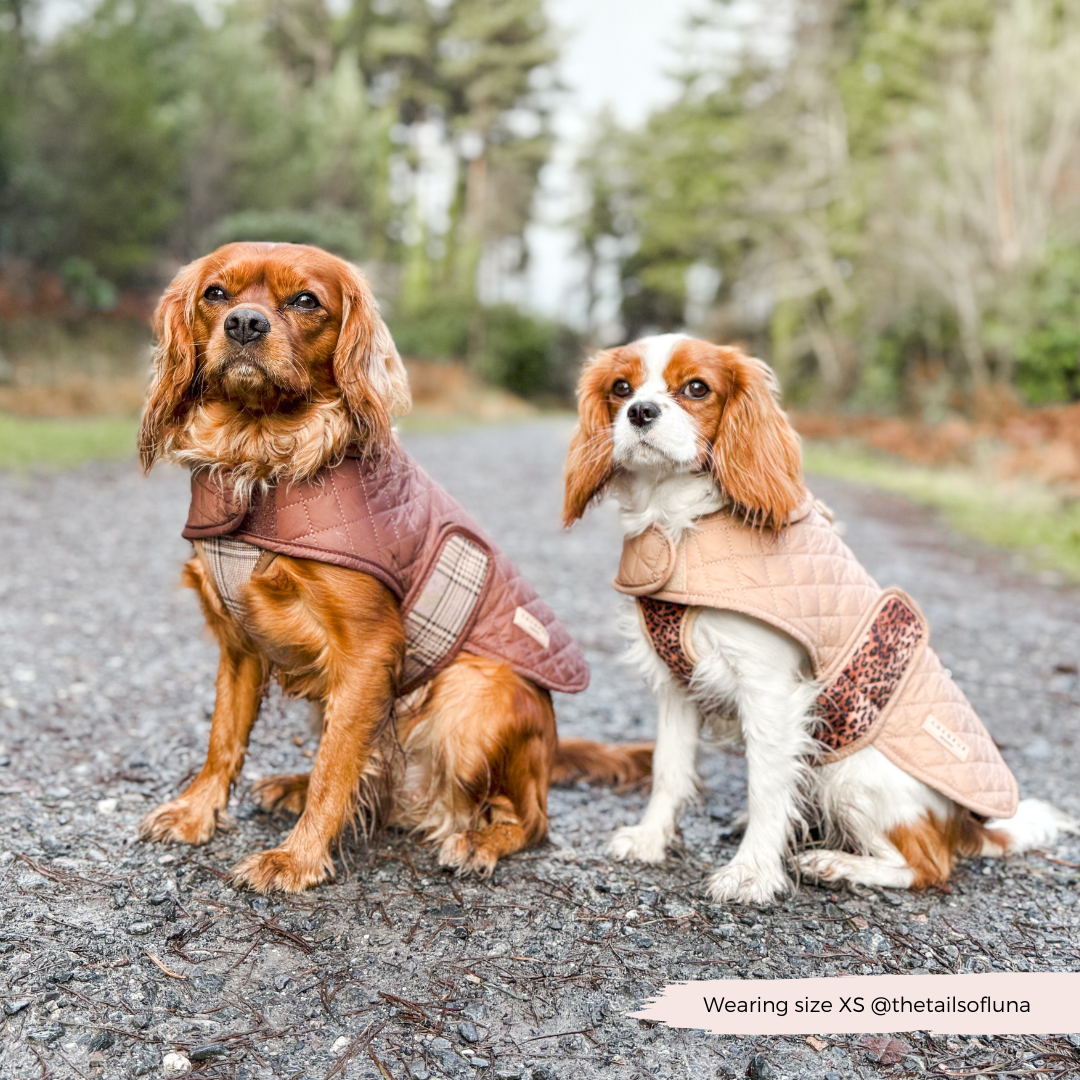 LUXE Quilted Hundejakke