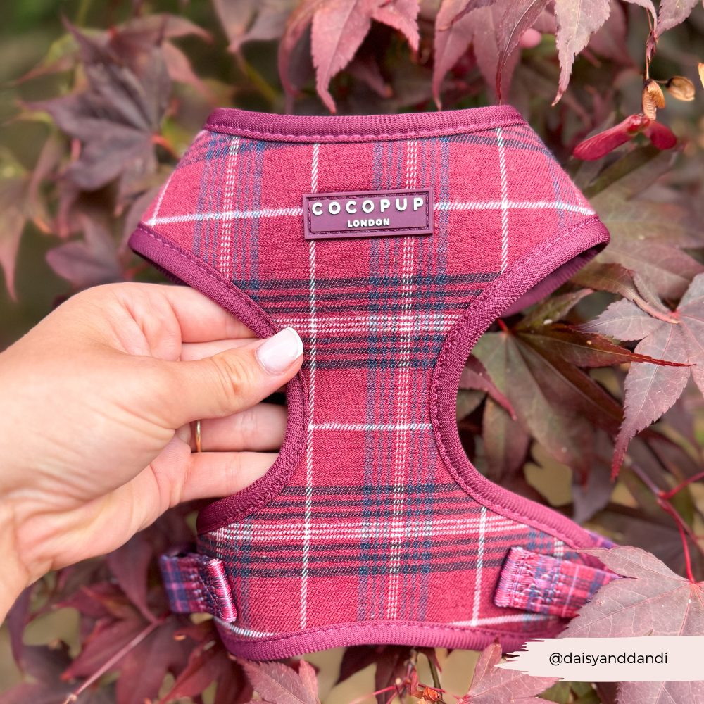Cocopup London - Mulberry Plaid Adjustable Neck HARNESS