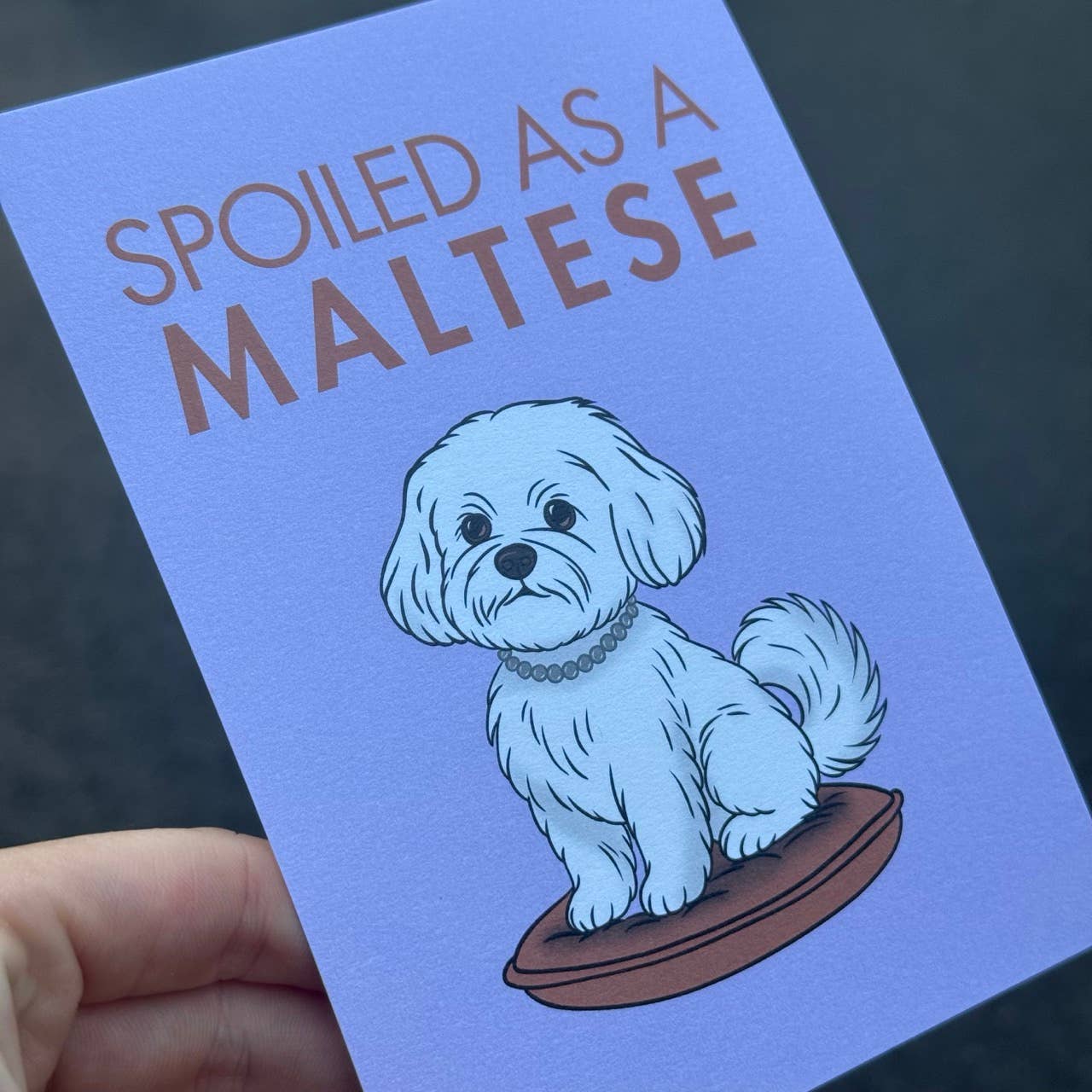 LOLLYPOPARTSTUDIO - Carte Bichon Maltais « Spoiled as a Maltese »
