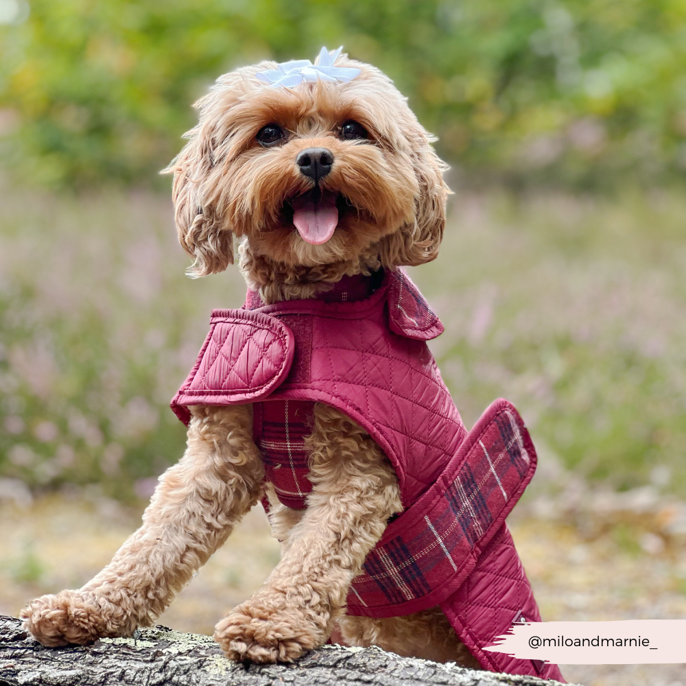 Cocopup London - LUXE Quilted Dog Coat - Mulberry Plaid