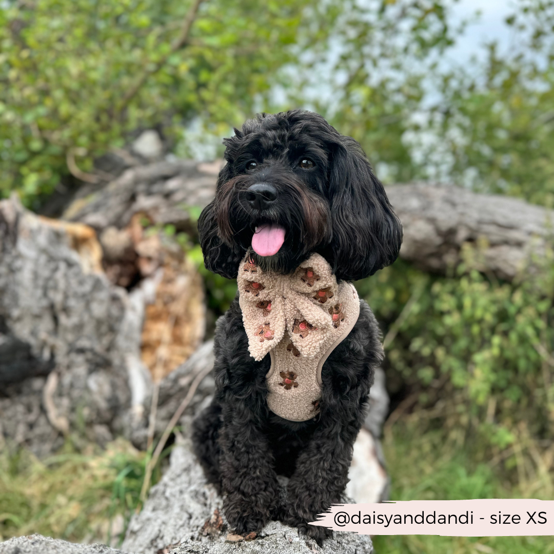 Teddy Sailor Bow Tie - Theo Embroidered