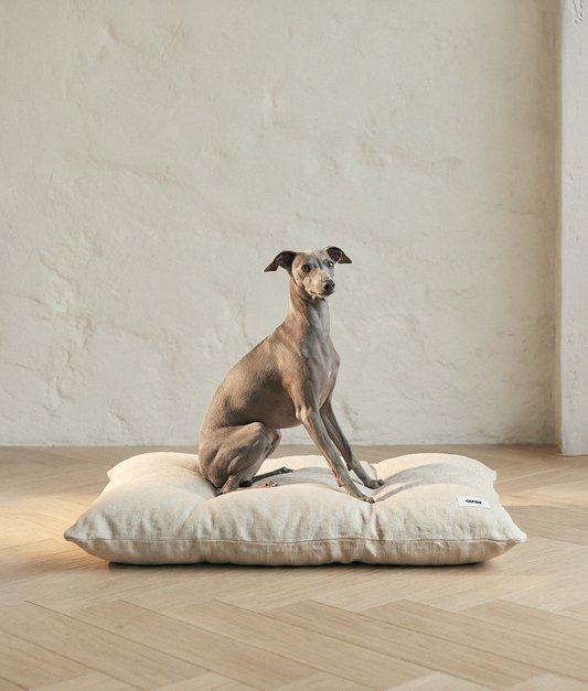 Linen Hundepute, Bela