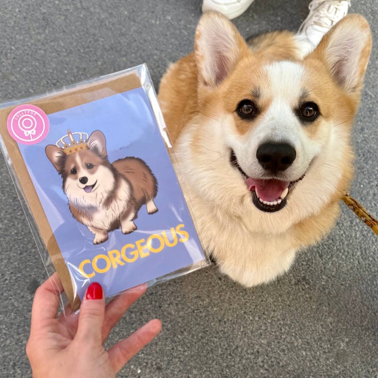 LOLLYPOPARTSTUDIO - Carte Corgi « Corgeous »