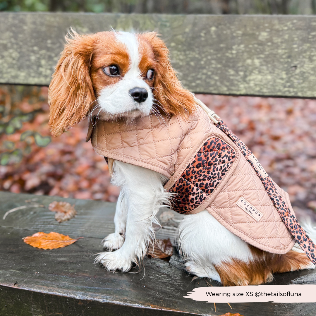 LUXE Quilted Hundejakke