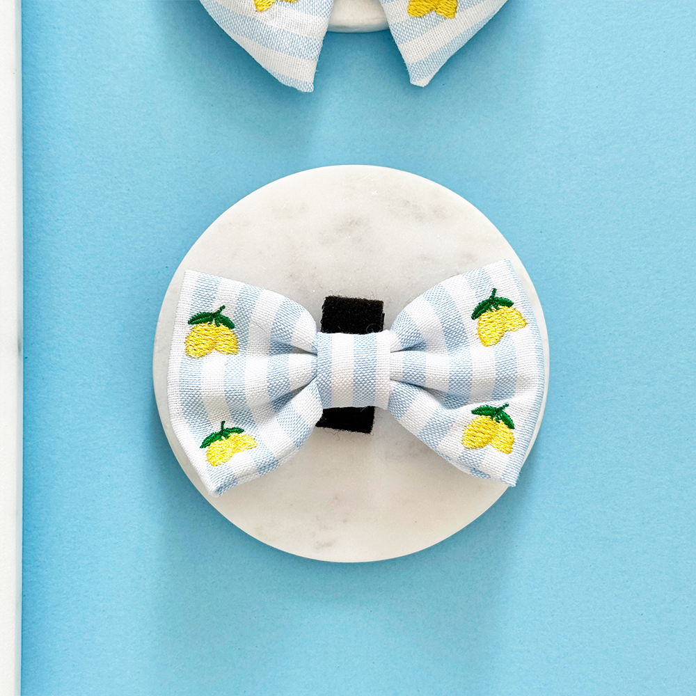 Living La Vida Lemon