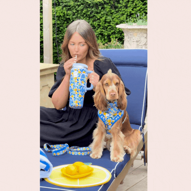 Amalfi Lemon Sailor