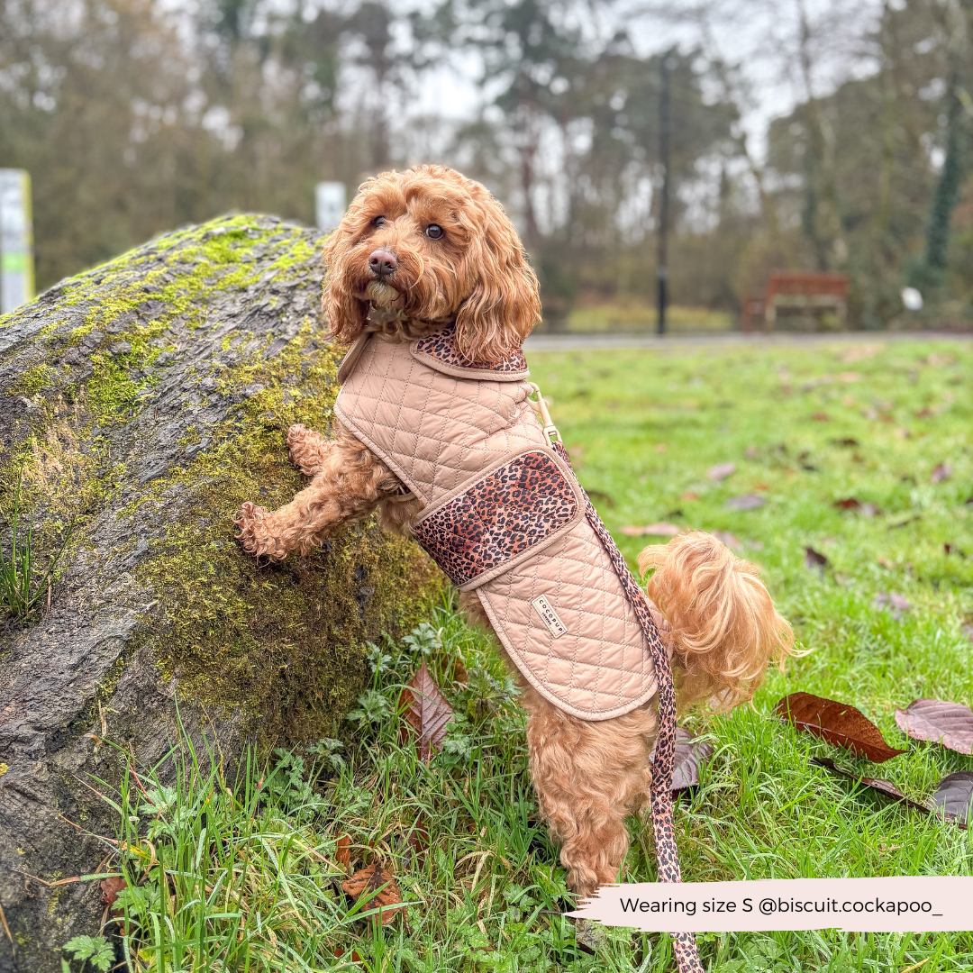 LUXE Quilted Hundejakke