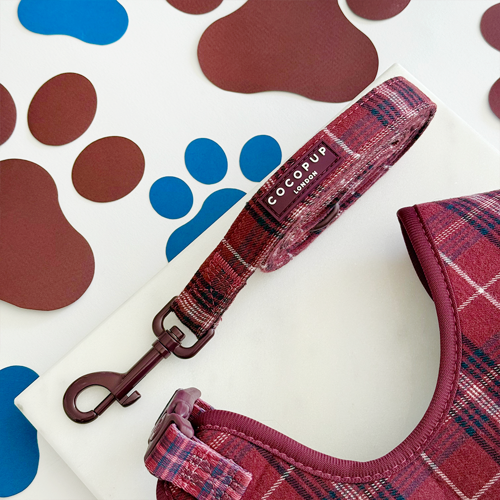 Mulberry Plaid Lead