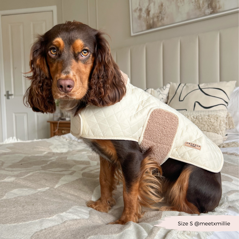 Cocopup London - LUXE Quilted Dog Coat - Creamy Chai