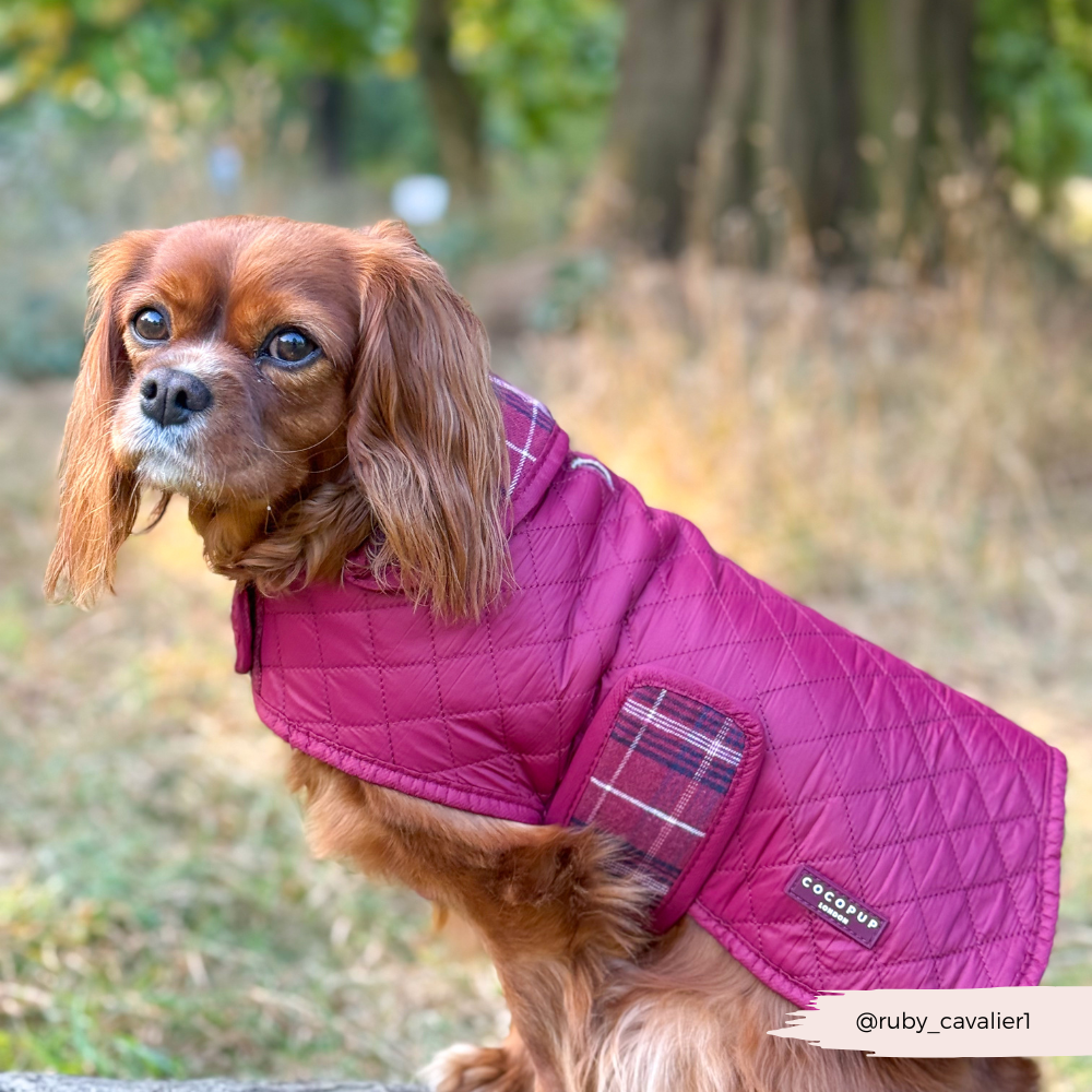 Cocopup London - LUXE Quilted Dog Coat - Mulberry Plaid
