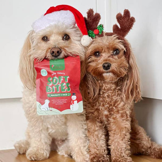 Christmas Dog Treats – Peanut Butter & Carob