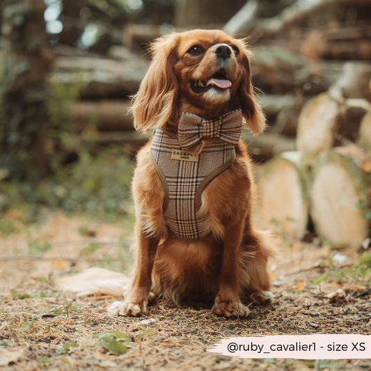 Pup Plaid Hundesele